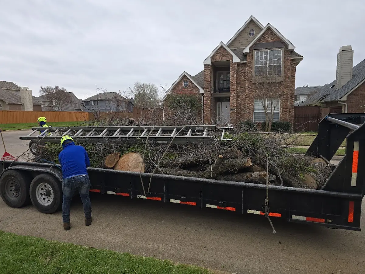 Expert Tree Fertilization with proper safety equipment in Williams
